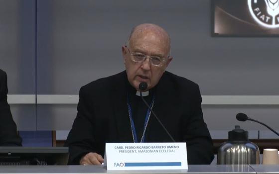 Cardinal, seated, speaks as part of panel. 