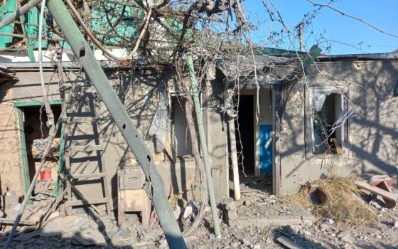 Small, burnt shell of a building partially covered by fallen tree. 