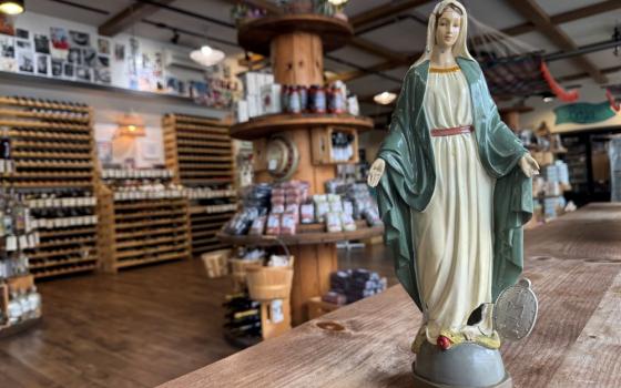 Mary statue on counter