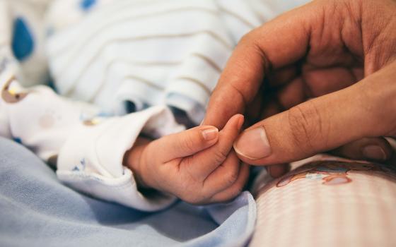 Adult hand holding a baby's hand (Pixabay/Pexels)