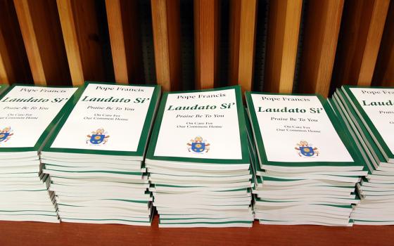 Copies of Pope Francis' encyclical on the environment, "Laudato Si', on Care for Our Common Home," are stacked on a table prior to a presentation on the encyclical June 30, 2015, at U.N. headquarters in New York City. (CNS/Gregory A. Shemitz)