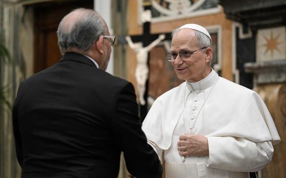 Pope Leo XIV greets a diplomat during an audience with the Vatican diplomatic corps in the Apostolic Palace's Clementine Hall at the Vatican May 16, 2025. (CNS/Vatican Media)