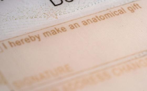 The organ donor entry on the back of a driver license is photographed in New York, Oct. 25, 2024. More than 103,000 people currently sit on the national transplant waiting list. (AP/Patrick Sison, File)