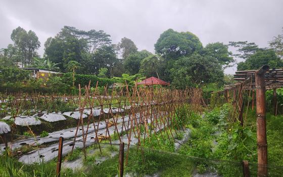 Well-tilled and cared for gardens at the convent of the Sisters of the Good Shepherd in Ruteng, Indonesia, reflect an environmental consciousness that the sisters affirmed even before Pope Francis' landmark 2015 encyclical Laudato Si'. (GSR photo/Chris Herlinger)