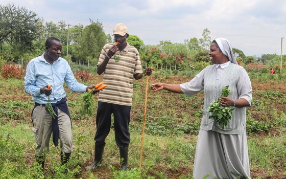 Moses Kelaino (center) and Sr. Stella Cherobon (right) harvest vegetables with another farmer at a demonstration farm in Tuala, Kenya. The project teaches Maasai families climate-resilient farming as drought continues to reshape pastoral life across Kenya’s dry lands. (GSR photo/Doreen Ajiambo)