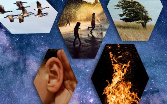 Collage with geese, children, wind, fire, listening (Unsplash photos/Jeremy Thomas; James Wainscoat; Ivan Lopatin; Karl Hornfeldt; Tobias Rademacher; Aurora K.)