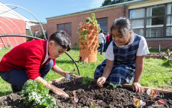 Students at St. Francis International School in Silver Spring, Md., tend the lettuce and other greens in the school garden as a part of their environmental science curriculum in this 2018 file photo. (CNS/Catholic Standard/Jaclyn Lippelmann)