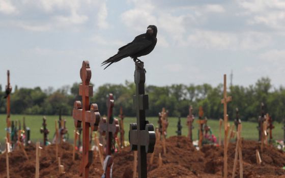 A bird sits on a cross amid newly made graves at a cemetery near Mariupol, Ukraine, May 15. (CNS/Reuters/Alexander Ermochenko)