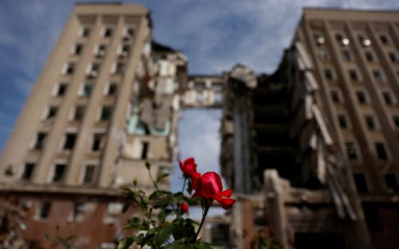 A flower is pictured in front of the destroyed regional administration building following shelling by Russian troops in Mykolaiv, Ukraine, June 8. (CNS/Reuters/Edgar Su)