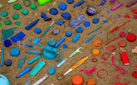 This plastic was collected during a 2019 harbor cleanup in Hamilton, Ontario. A World Economic Forum study found that plastics in the ocean could outweigh fish by 2050. (Unsplash/Jasmin Sessler)