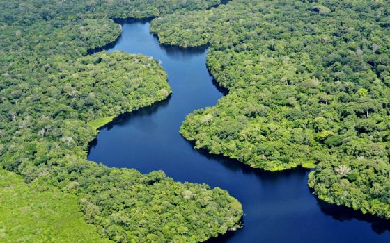 An aerial view of the Amazon rainforest, near Manaus, the capital of the Brazilian state of Amazonas (Flickr/CIAT/Neil Palmer)