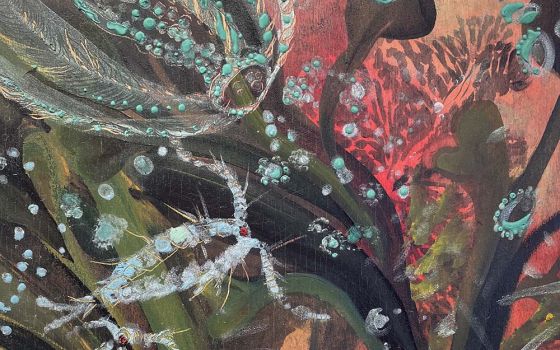 "Intertidal Zooplankton Dreaming" by Krisanne Baker (Jim McDermott)