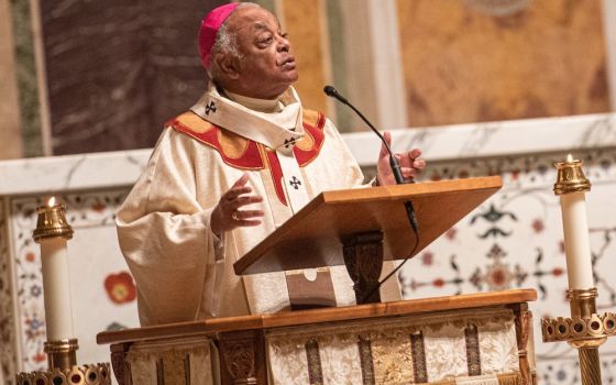 Cardinal-designate Wilton Gregory, the archbishop of Washington, gives his homily during Mass for All Saints' Day Nov. 1 at the Cathedral of St. Matthew the Apostle in Washington. (CNS/Catholic Standard/Mihoko Owada)