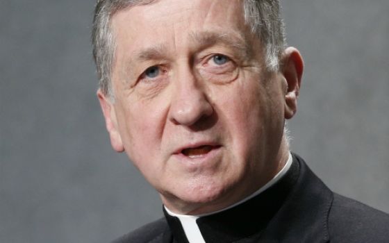 Chicago Cardinal Blase Cupich at the Vatican in February (CNS/Paul Haring)
