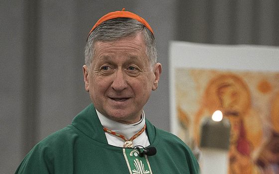Chicago Cardinal Blase Cupich is seen in January 2020. (CNS/Tyler Orsburn)