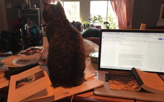 What reminds you to take a break? Sometimes the author’s cat makes it impossible to work and reminds her it is good to pause. (Brenna Davis)