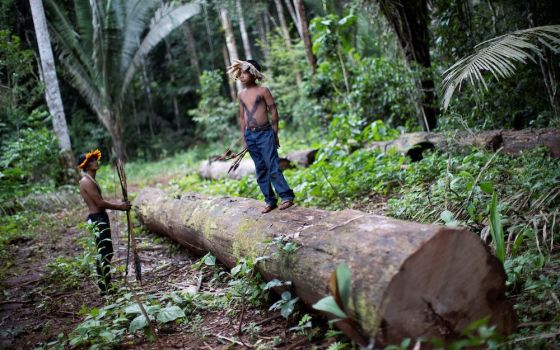 A man and boy of the Uru-eu-wau-wau tribe inspect an area deforested by invaders on Indigenous land near Campo Novo de Rondônia, Brazil, in 2019. (CNS photo/Ueslei Marcelino, Reuters)