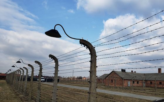 Barbed wire near the Birkenau section of the Auschwitz-Birkenau concentration-death camp in Poland (NCR photo/Chris Herlinger)