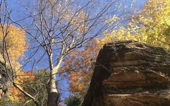 Photo of large rock and autumn trees. (Brenna Davis)