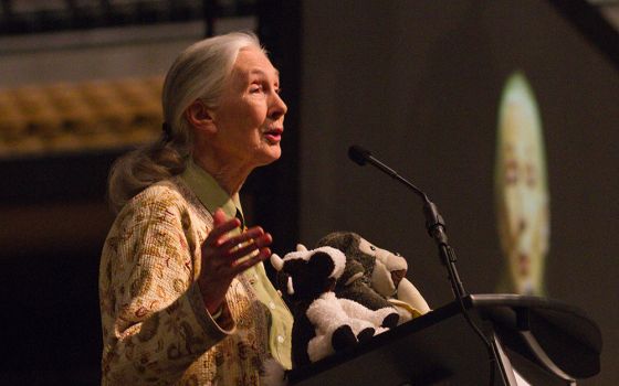 Jane Goodall speaks at Mizzou Arena Sept. 17, 2014, in Columbia, Missouri. (Wikimedia Commons/Mark Schierbecker, CC by SA 4.0)