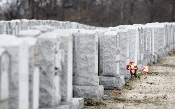 Headstones inside the Gate of Heaven Cemetery in East Hanover, New Jersey (RNS/The Star-Ledger/Courtesy of Aristide Economopoulos)