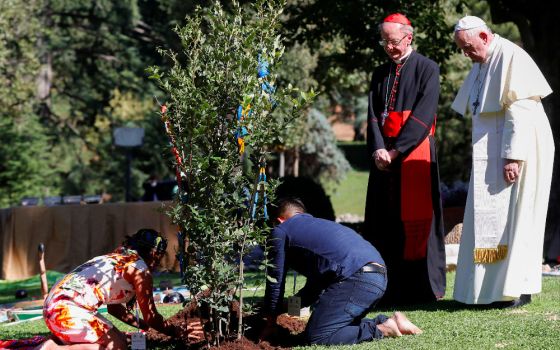 Pope Francis and Brazilian Cardinal Cláudio Hummes watch as a tree is planted in the Vatican gardens on Oct. 4, 2019, two days before the opening of the Synod for the Amazon. (CNS photo/Yara Nardi, Reuters)