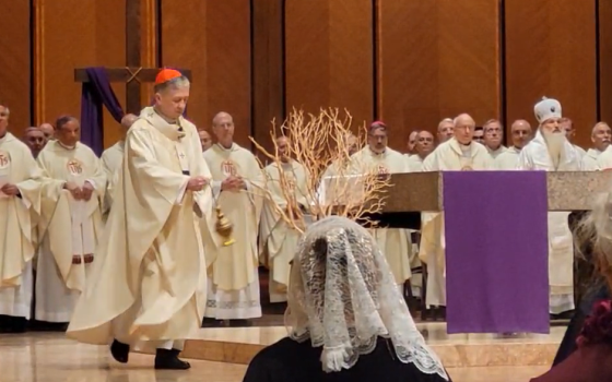 Cardinal Blase Cupich of Chicago celebrates Mass March 25 in Chicago. Cupich was among about 70 cardinals, bishops and theologians gathered privately March 25-26 for conversations focused on how the U.S. church can better support Pope Francis. (NCR)