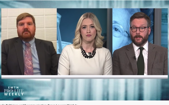 J.D. Flynn, left, then-editor-in-chief of Catholic News Agency, and Ed Condon, right, then-DC bureau chief for CNA, weigh in as canon lawyers on EWTN Pro-Life Weekly with Catherine Hadro in April 2019. (NCR screenshot/YouTube/EWTN)