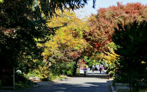 Autumn foliage is seen on the campus of Seattle University. The Jesuit university announced Sept. 19 that it will soon divest from fossil fuels. (Wikimedia Commons/Hermann Luyken)