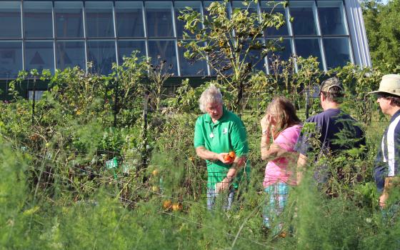 Sr. Lucy Slinger offers a garden tour on FSPA lands outside La Crosse, Wisconsin