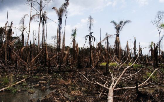 Oil spill damage in the Niger Delta region, April 6, 2010 (Flickr/Sosialistisk Ungdom)