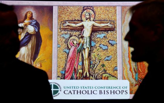 Attendees are seen Nov. 12, 2018, at the U.S. Conference of Catholic Bishops’ general assembly in Baltimore. (CNS/Reuters/Kevin Lamarque)