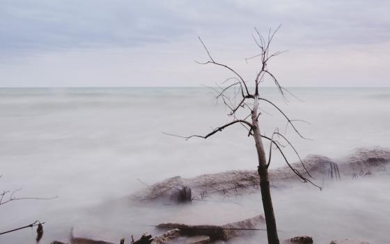 About mid- to late autumn the perma-cloud rolls in off Lake Michigan. Like a migrating fowl, it stays awhile before moving on. (Unsplash/Kayle Kaupanger)