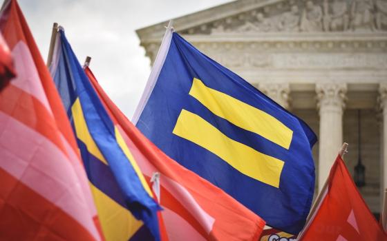 Equality flags (Unsplash/Matt Popovich)