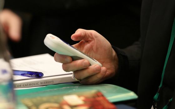 A bishop casts his vote during last year's fall general assembly of the U.S. Conference of Catholic Bishops in Baltimore Nov. 11, 2019. (CNS/Bob Roller)