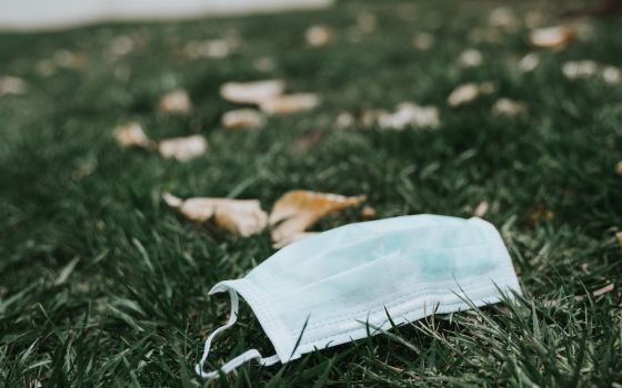 Discarded face mask on lying on the grass