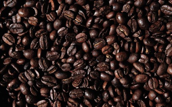 Coffee beans are seen in an illustration photo. (Unsplash/Jocelyn Morales)