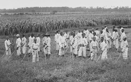 Juvenile convicts at work in fields, circa 1903 (Library of Congress/Detroit Publishing Company Collection)