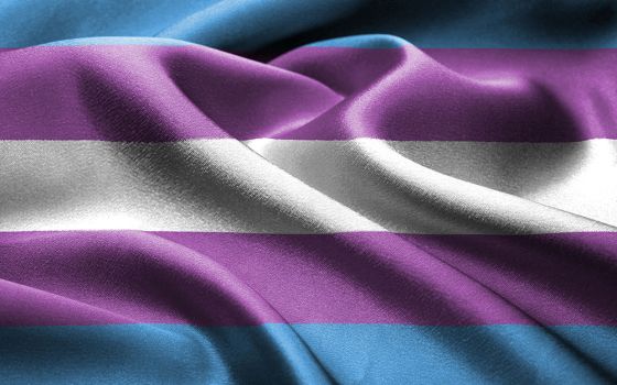 Transgender flag (Unsplash/Lena Balk)