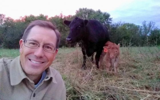 Matt Russell with a newborn calf and its mother on his farm (Provided photo)