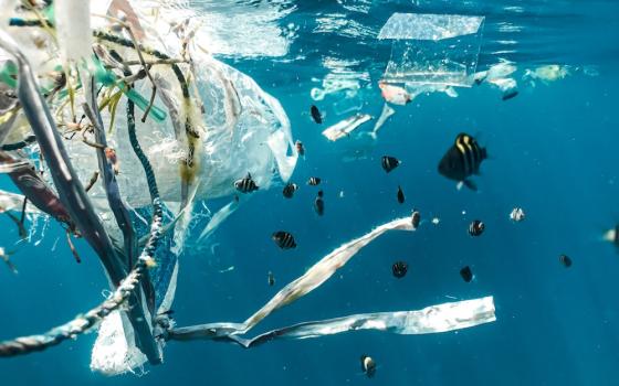 Underwater photo of fish near plastic waste (Unsplash/Naja Bertolt Jensen)