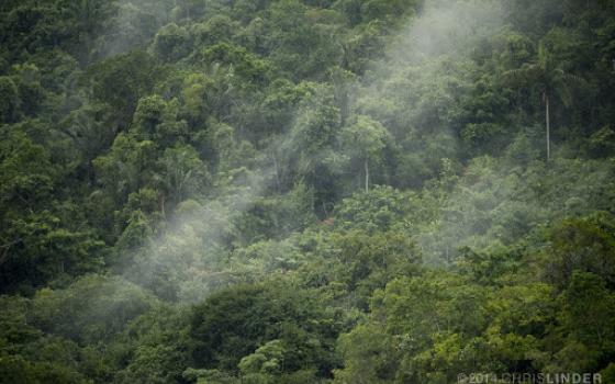 The Amazon rainforest stores the carbon equivalent of ten years' worth of human greenhouse gas emissions. (Chris Linder/chrislinder.com)