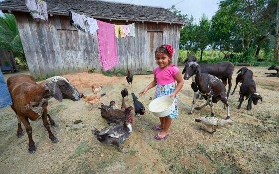 Sindy Kelly Saraiva, 4, feed animals at her home in the countryside near Anapu, in Brazil's northern Pará state. This once-forested area now sees a high rate of land conflicts. (CNS Photo/Paul Jeffrey)