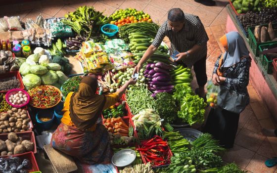 Knowing where our food comes from can help us feel more grateful for those who grow it and for the earth that sustains us, Catholic farmers say. (Alex Hudson/Unsplash)