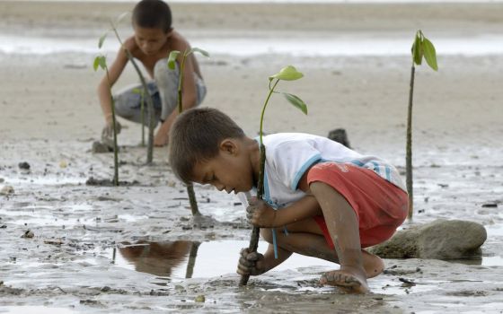 Two boys plant mangrove seedlings in the tidal zone on the west coast of the Indonesian island of Nias. Mangrove swamps provide habitat for fish and shellfish and help buffer against storms that are becoming more frequent and severe as the climate warms. 