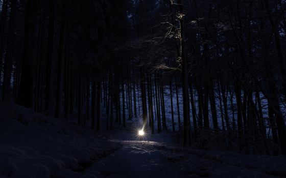 Dark night (Unsplash/Tobias Rademacher)