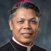 Bishop Peter Dai Bui