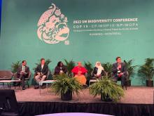A panel of faith representatives take part in a discussion on the global state of biodiversity Dec. 7 at the COP15 United Nations biodiversity conference, in Montreal. (Faiths at COP15/Wesley Cocozello)