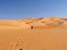A person walking into the desert (Unsplash/Julius Yls)