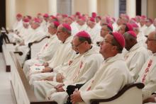 Bishops attend Mass at the Basilica of the National Shrine of the Assumption of the Blessed Virgin Mary Nov. 14, 2022, on the first day of the fall general assembly of the U.S. Conference of Catholic Bishops in Baltimore. (CNS/Bob Roller)